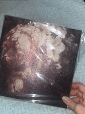 NWT Floral Wall Art Canvas